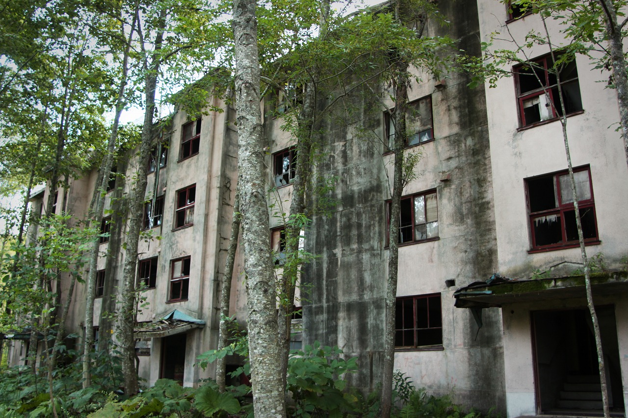 c0072801_8423786.jpg