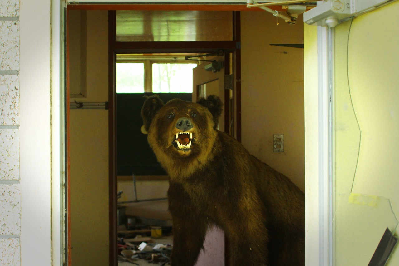 c0072801_8425416.jpg
