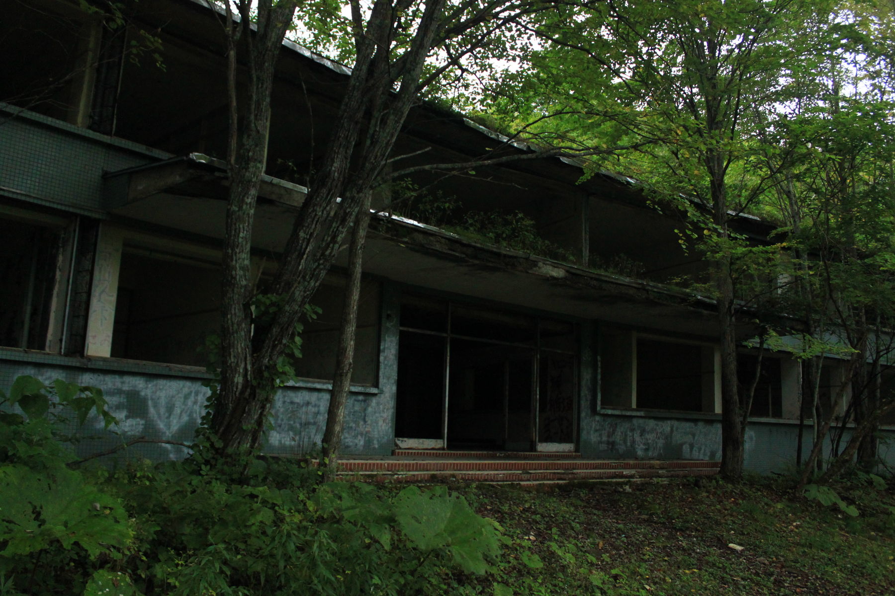 c0072801_846297.jpg