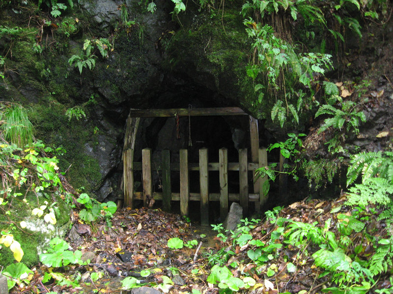 c0072801_9195673.jpg