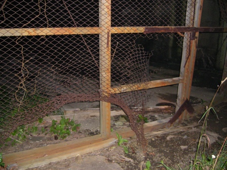 c0072801_99431.jpg