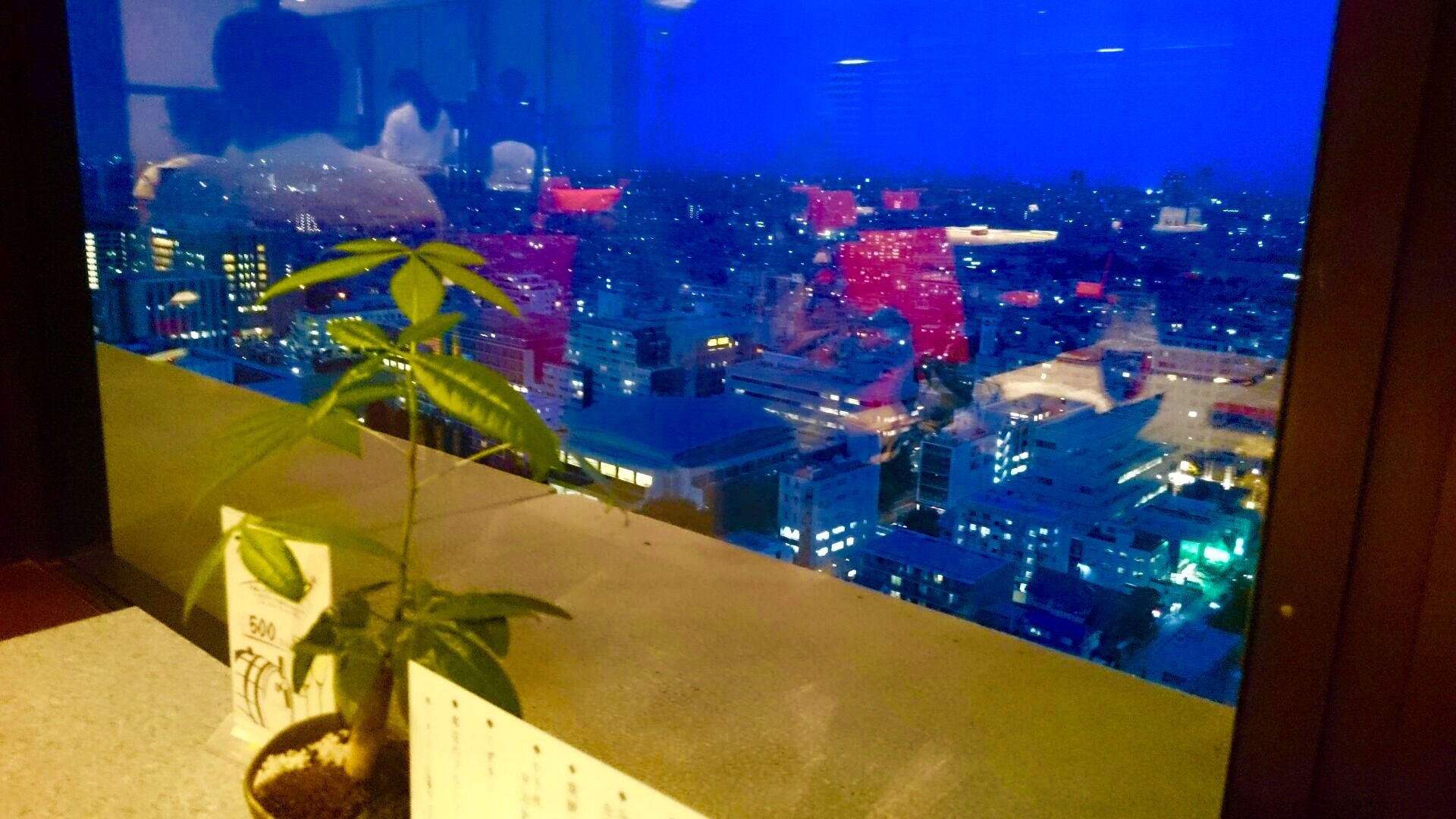 c0202101_091998.jpg