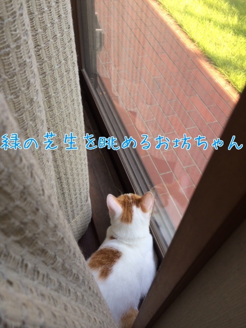 a0177105_13560280.jpeg
