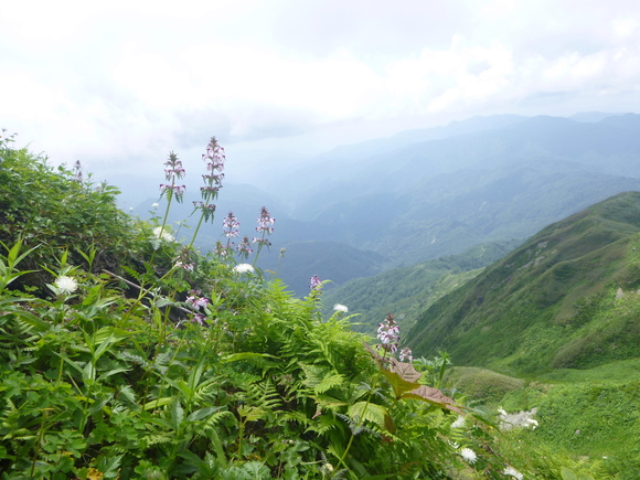 d0170615_231321.jpg