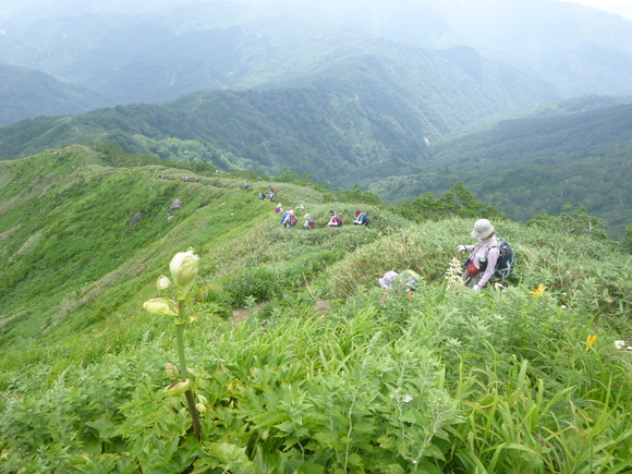 d0170615_2313764.jpg
