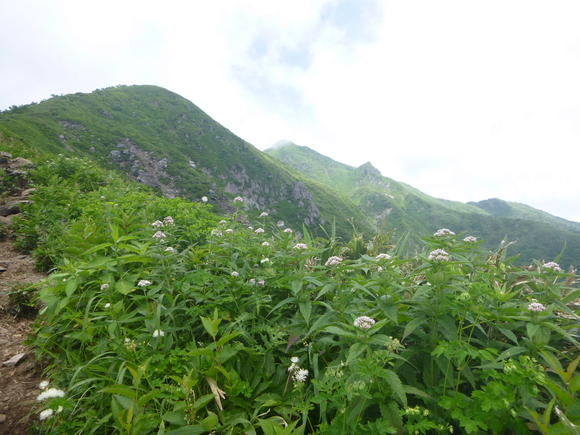 d0170615_2324365.jpg