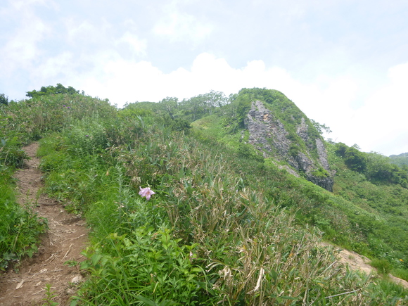 d0170615_2332332.jpg