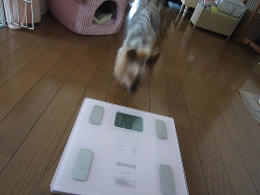f0002833_9381423.jpg