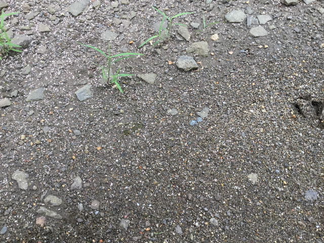 f0031037_161748.jpg
