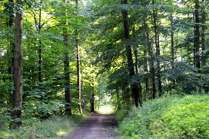 c0153740_1864093.jpg