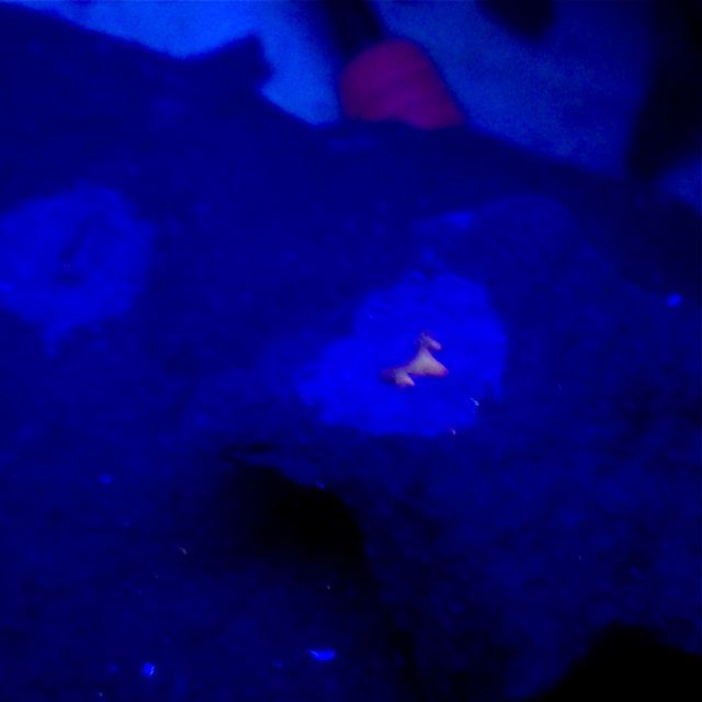 e0290546_20050727.jpg