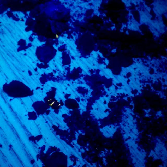 e0290546_20051062.jpg
