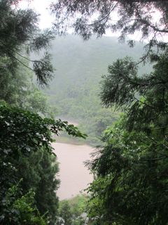 a0054948_10113056.jpg