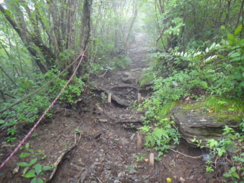c0179351_10115931.jpg