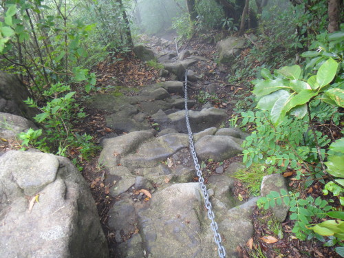 c0179351_10135528.jpg