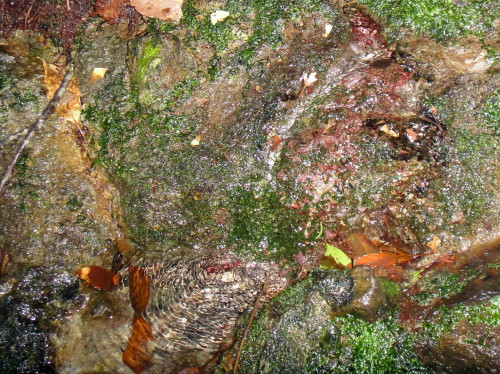 c0179351_10201378.jpg