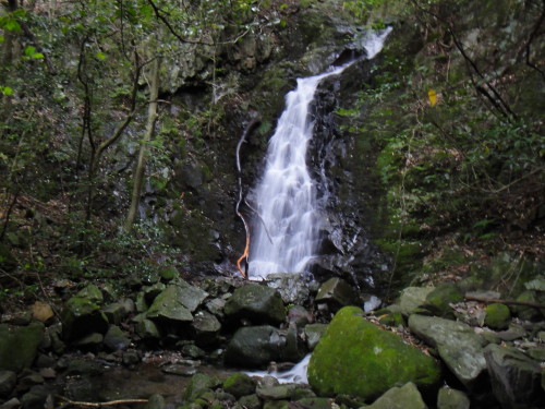 c0179351_10211582.jpg