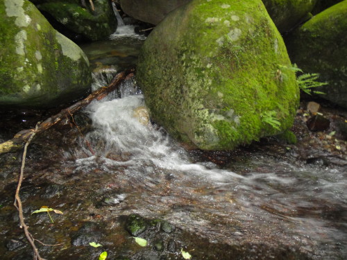 c0179351_10214124.jpg