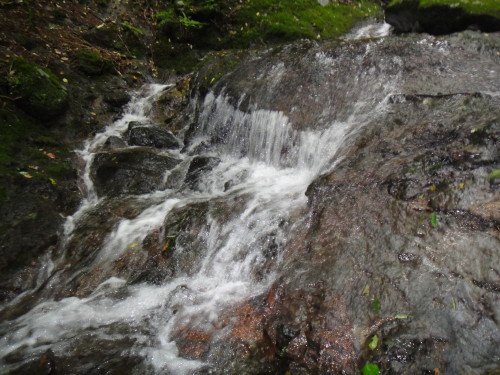 c0179351_1022554.jpg
