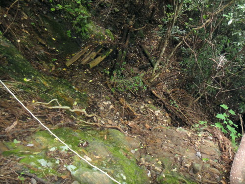 c0179351_10231782.jpg