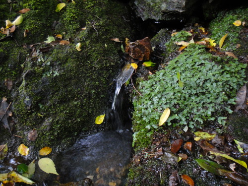 c0179351_1053676.jpg
