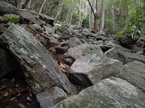 c0179351_1075146.jpg