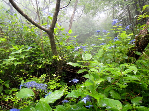 c0179351_1083110.jpg