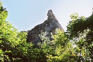 a0290852_181312.jpg