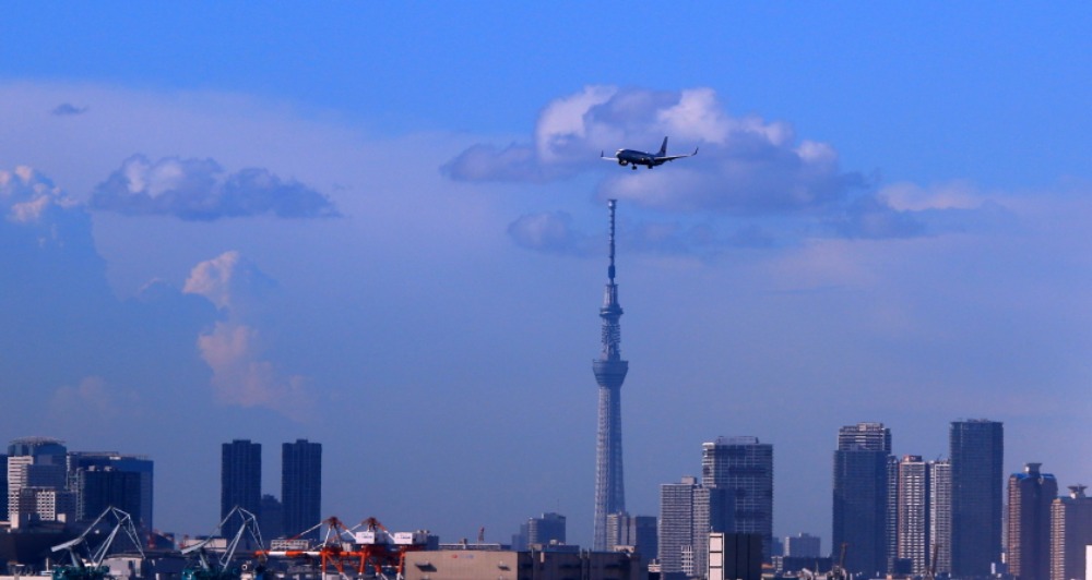 a0150260_3133362.jpg