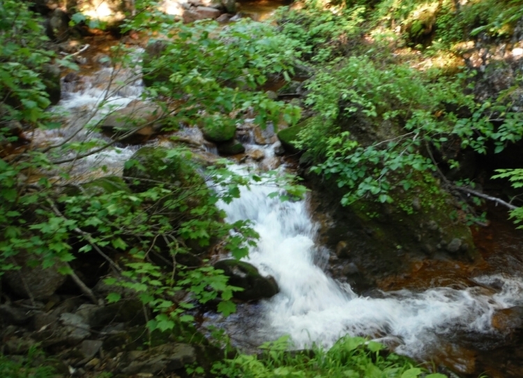 b0304662_14590044.jpg
