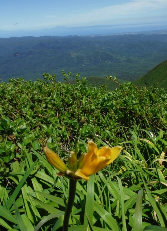 b0304662_15283367.jpg