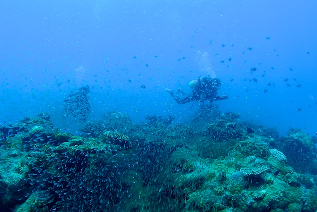 b0062363_16505519.jpg