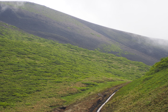 e0307372_14444615.jpg