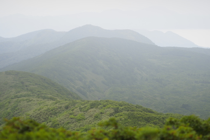e0307372_15211585.jpg