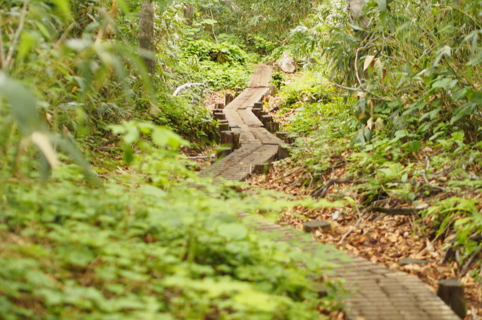 e0307372_15231704.jpg