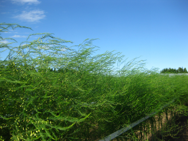 b0003280_023586.jpg