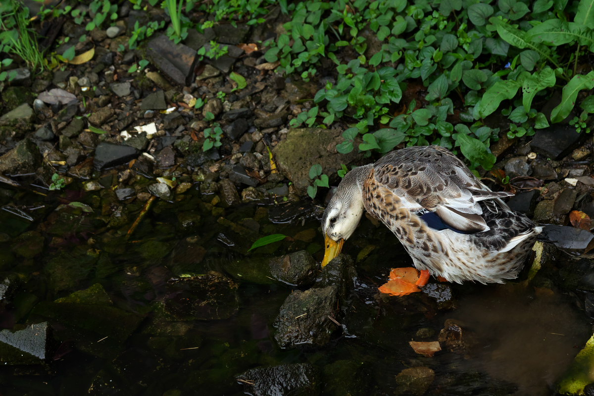 a0083081_189431.jpg