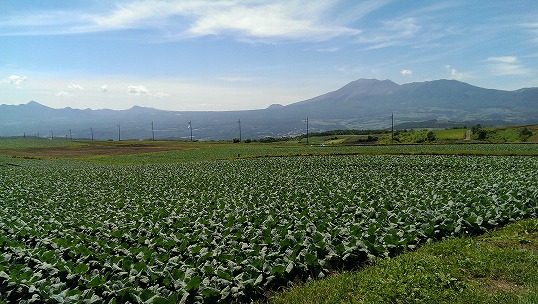 e0020682_2005021.jpg