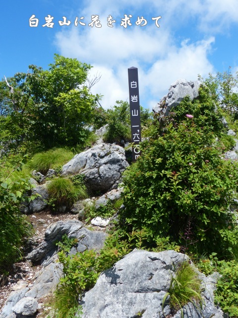 f0357487_143154.jpg