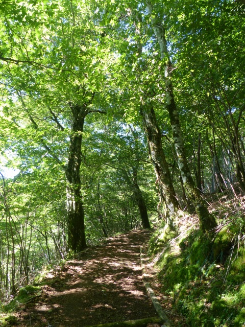 f0357487_14475458.jpg