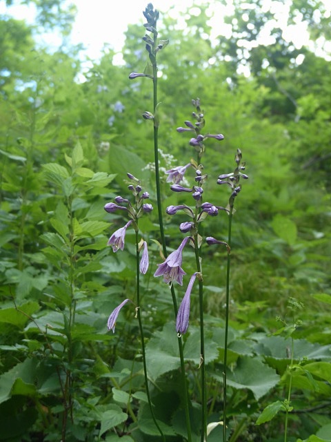 f0357487_16203835.jpg