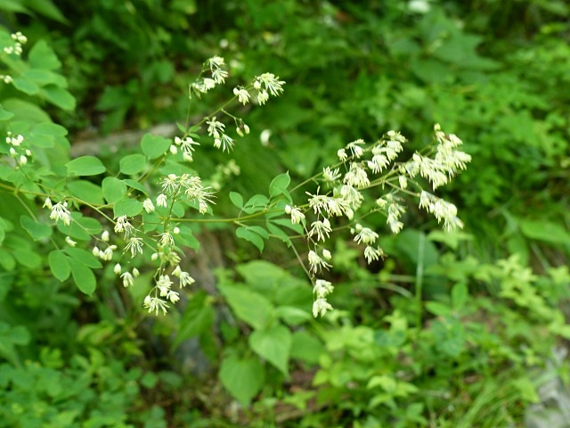 f0357487_22165956.jpg
