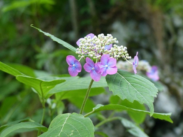f0357487_2234954.jpg