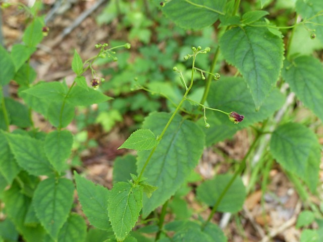 f0357487_22362248.jpg