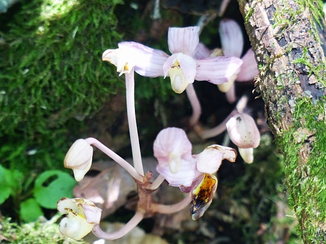 f0357487_22373281.jpg