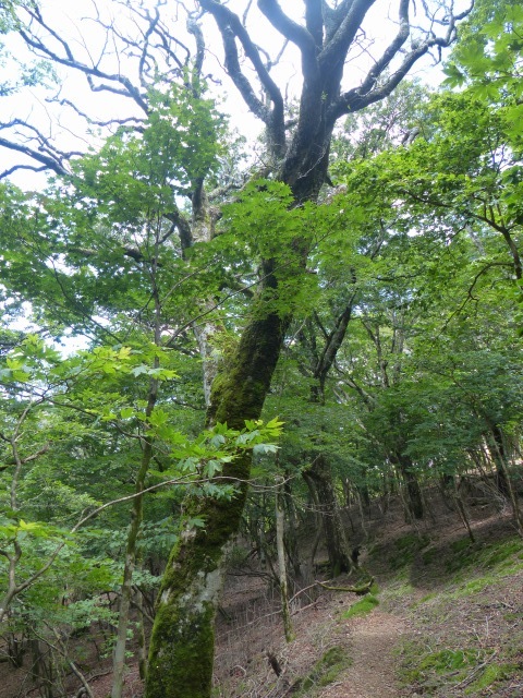 f0357487_22384844.jpg