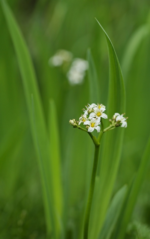 f0000789_9321789.jpg