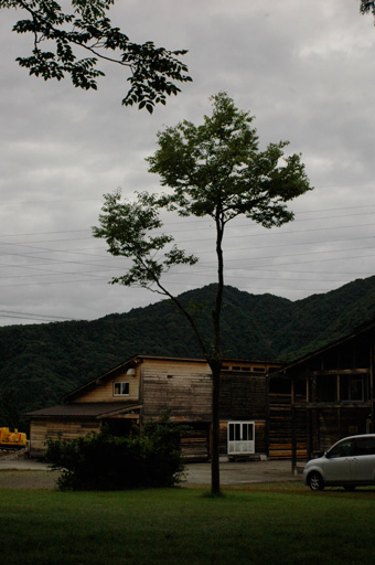 a0061599_7242829.jpg