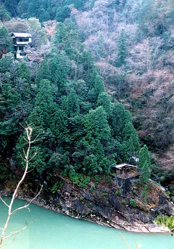 c0072801_022587.jpg