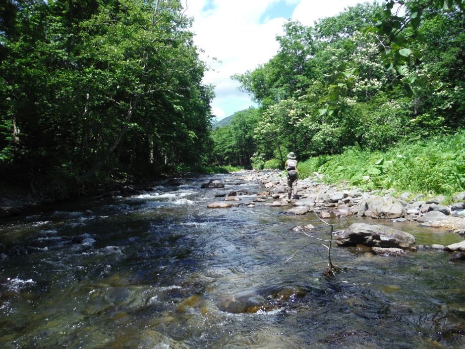b0172805_1135470.jpg